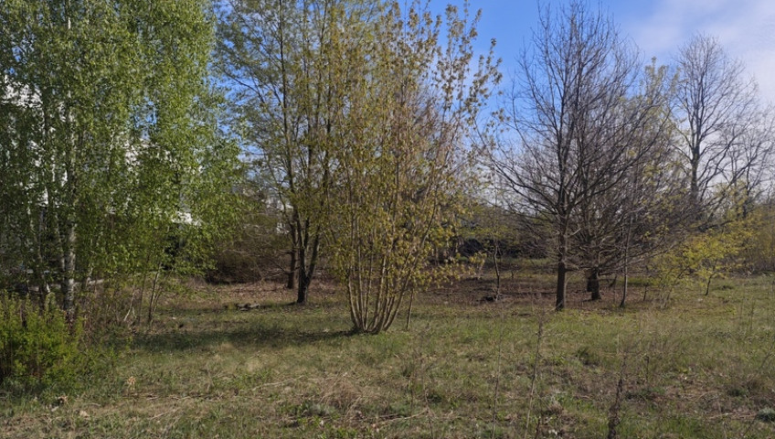 Działka Sprzedaż Janów Ułanów